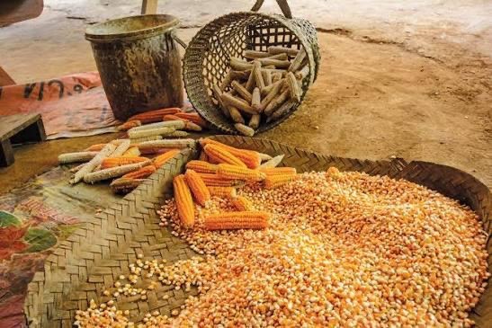 ظ…ظ†طھط¬ 3